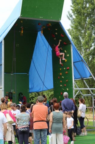 Sport